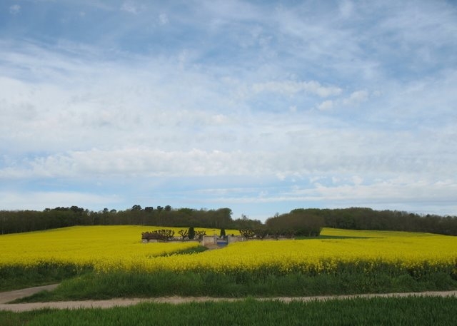 2008 04  Bota et Myco 03